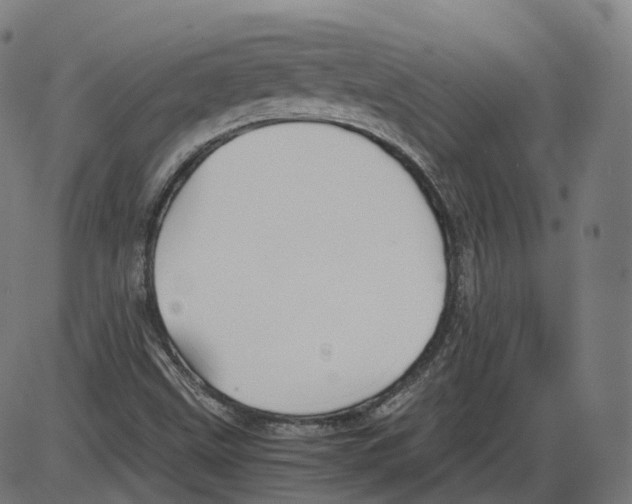 X0000084031499200703161752