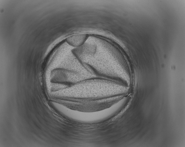 X0000084031501200703161752