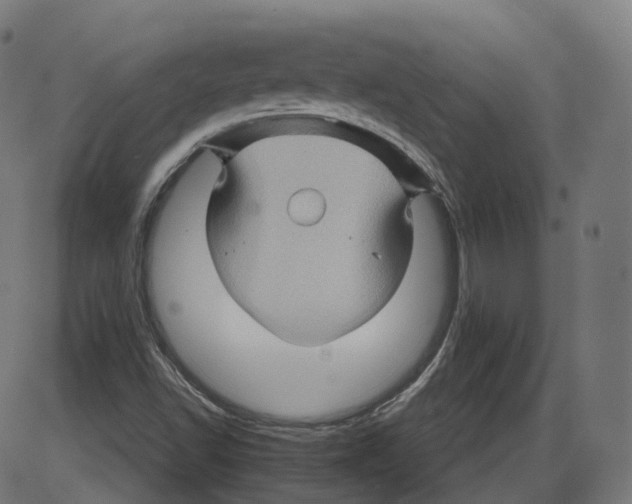 X0000084031502200703161752