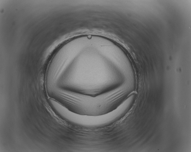 X0000084031503200703161752