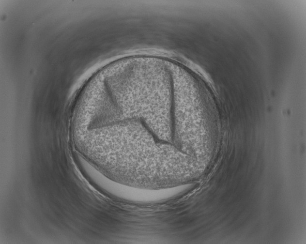 X0000084031504200703161752