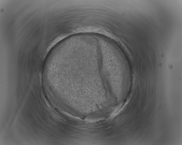 X0000084031505200703161752