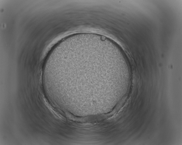 X0000084031507200703161752