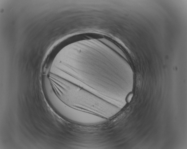 X0000084031508200703161752