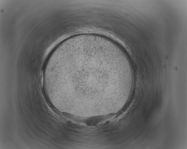 X0000084031509200703161752