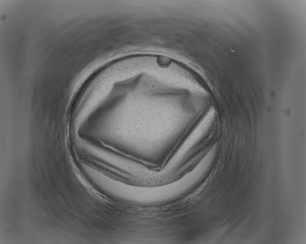 X0000084031511200703161752