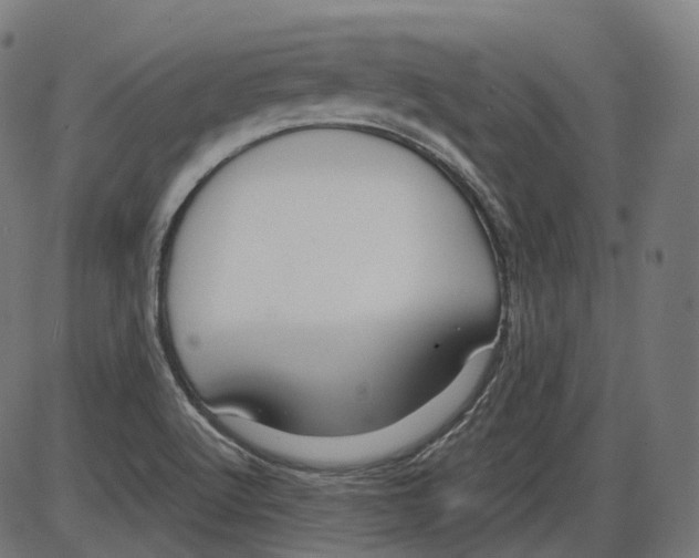 X0000084031512200703161752