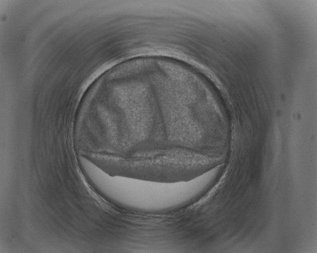 X0000084031513200703161752