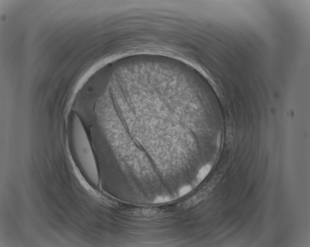 X0000084031515200703161752