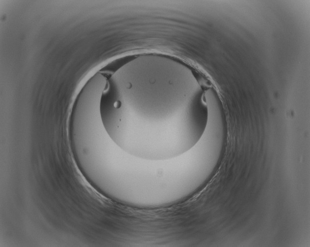 X0000084031516200703161752