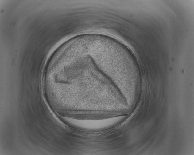 X0000084031517200703161752