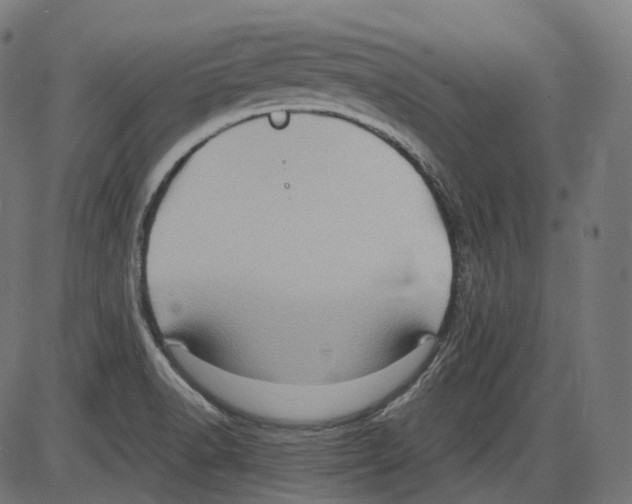 X0000084031518200703161752