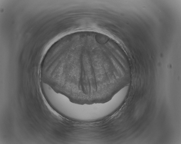 X0000084031519200703161752