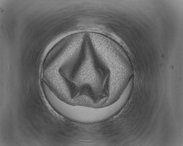 X0000084031520200703161752