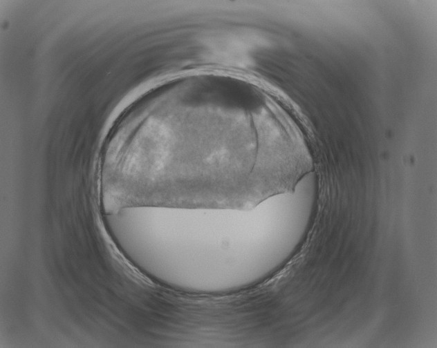 X0000084031522200703161752