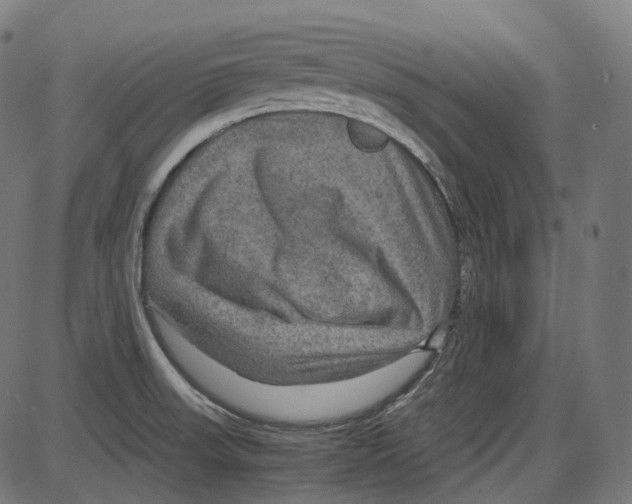 X0000084031523200703161752