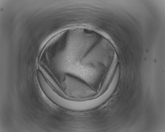 X0000084031524200703161752