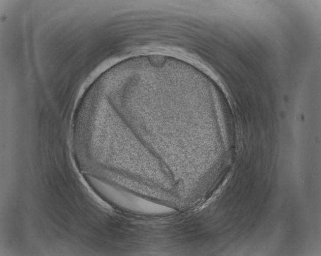 X0000084031525200703161752