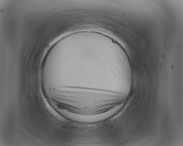 X0000084031526200703161752