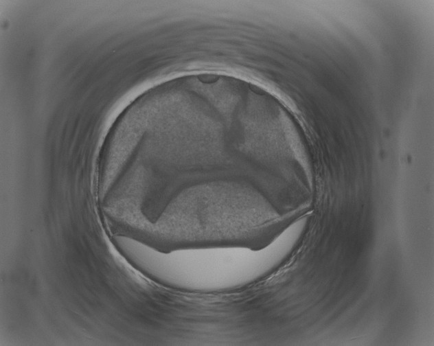 X0000084031527200703161752