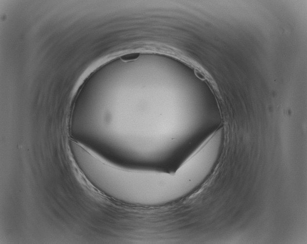 X0000084031530200703161752