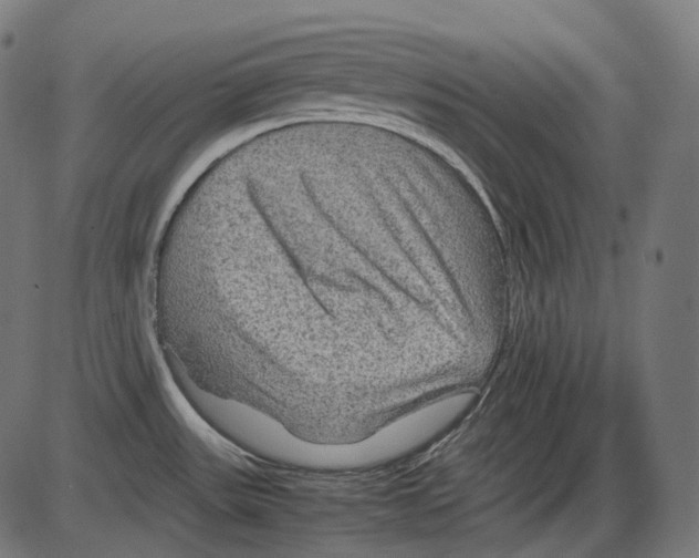 X0000084031531200703161752