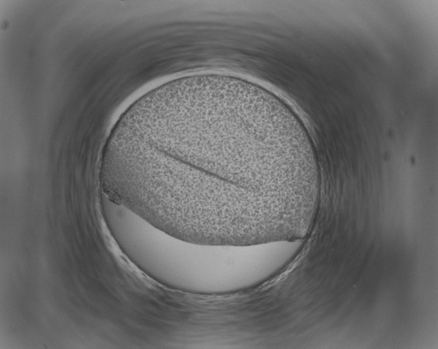 X0000084031534200703161753