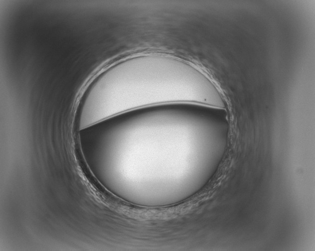 X0000084040007200702160905