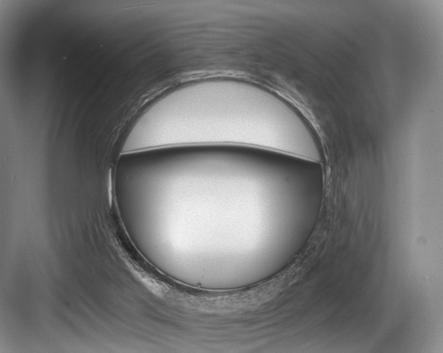 X0000084040013200702160905