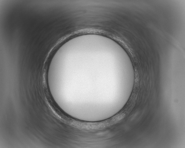 X0000084040016200702160905