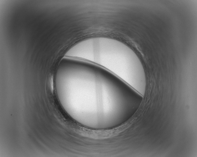 X0000084040027200702160905