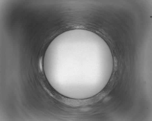 X0000084040028200702160905