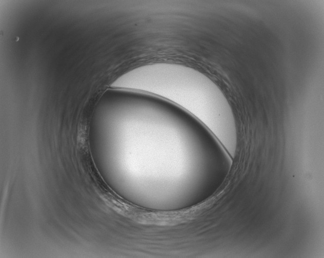 X0000084040033200702160905