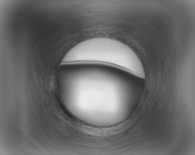 X0000084040035200702160905