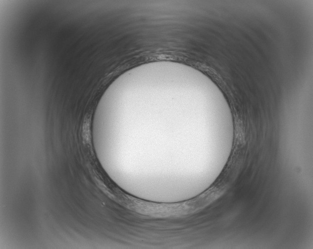 X0000084040036200702160905