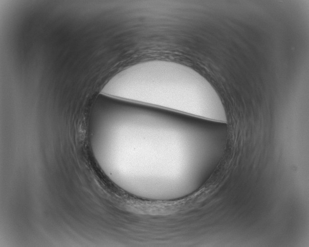 X0000084040040200702160905