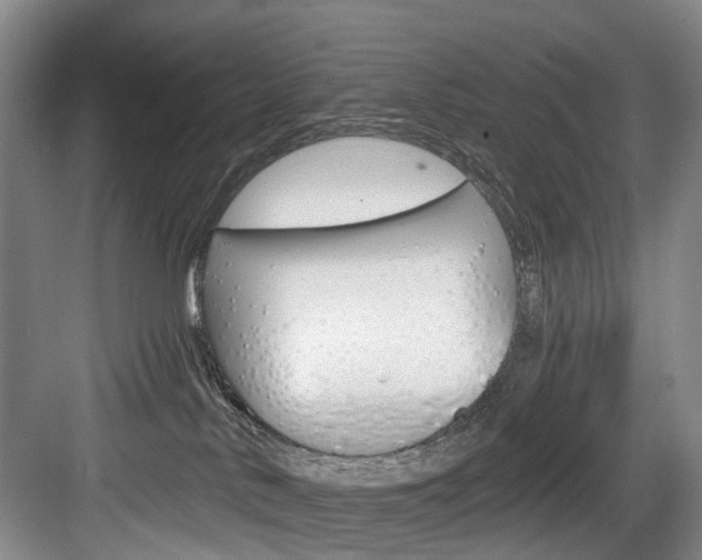 X0000084040042200702160904