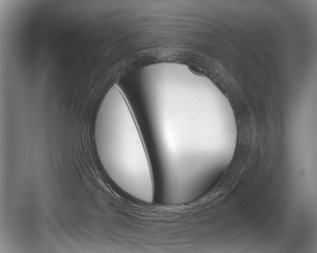 X0000084040044200702160904