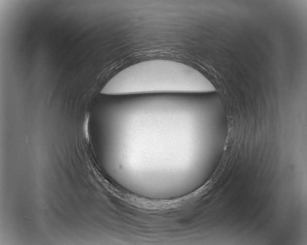 X0000084040047200702160904