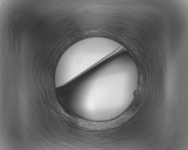 X0000084040048200702160904