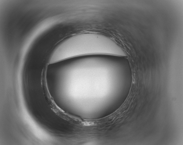 X0000084040052200702160904