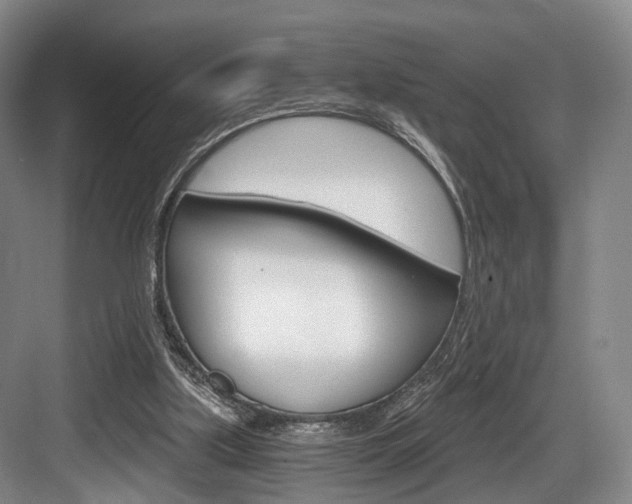 X0000084040059200702160904