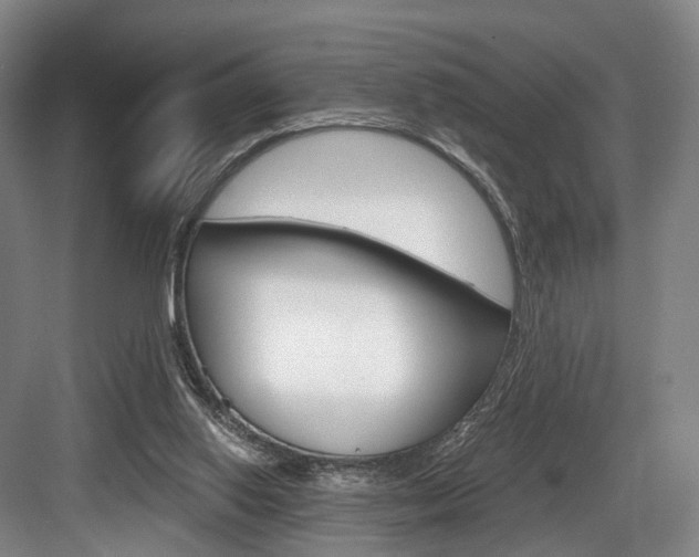 X0000084040062200702160904