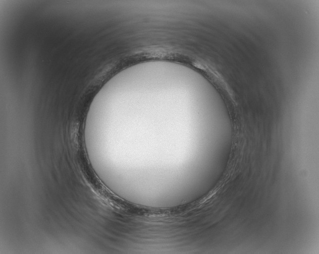 X0000084040066200702160904