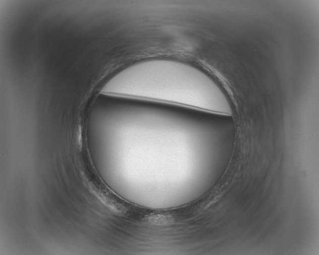 X0000084040067200702160904