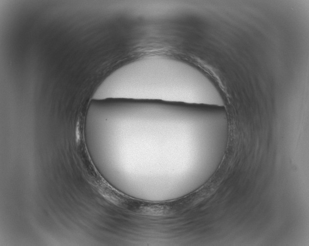 X0000084040069200702160904