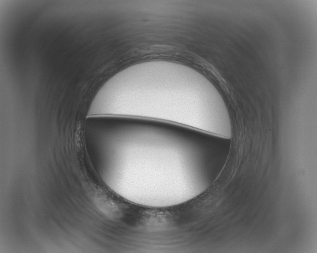 X0000084040073200702160904