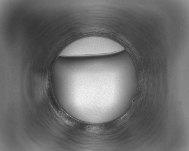 X0000084040074200702160904