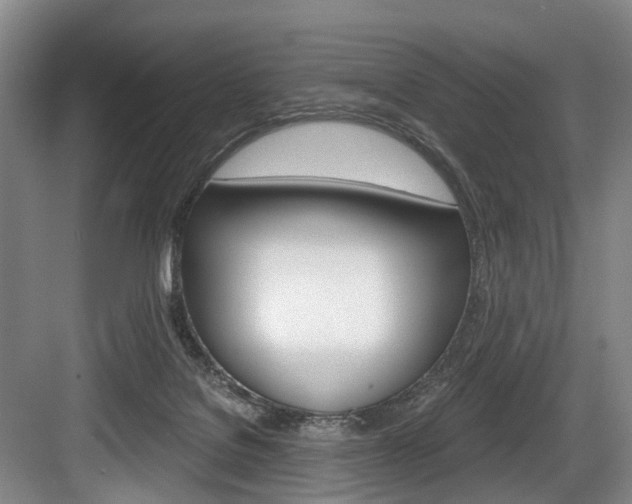 X0000084040076200702160904