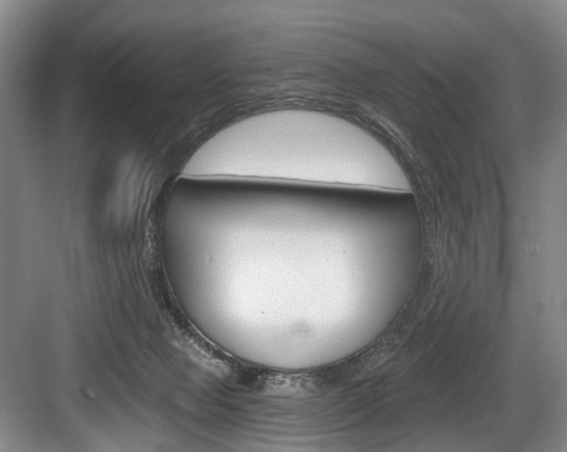 X0000084040077200702160904